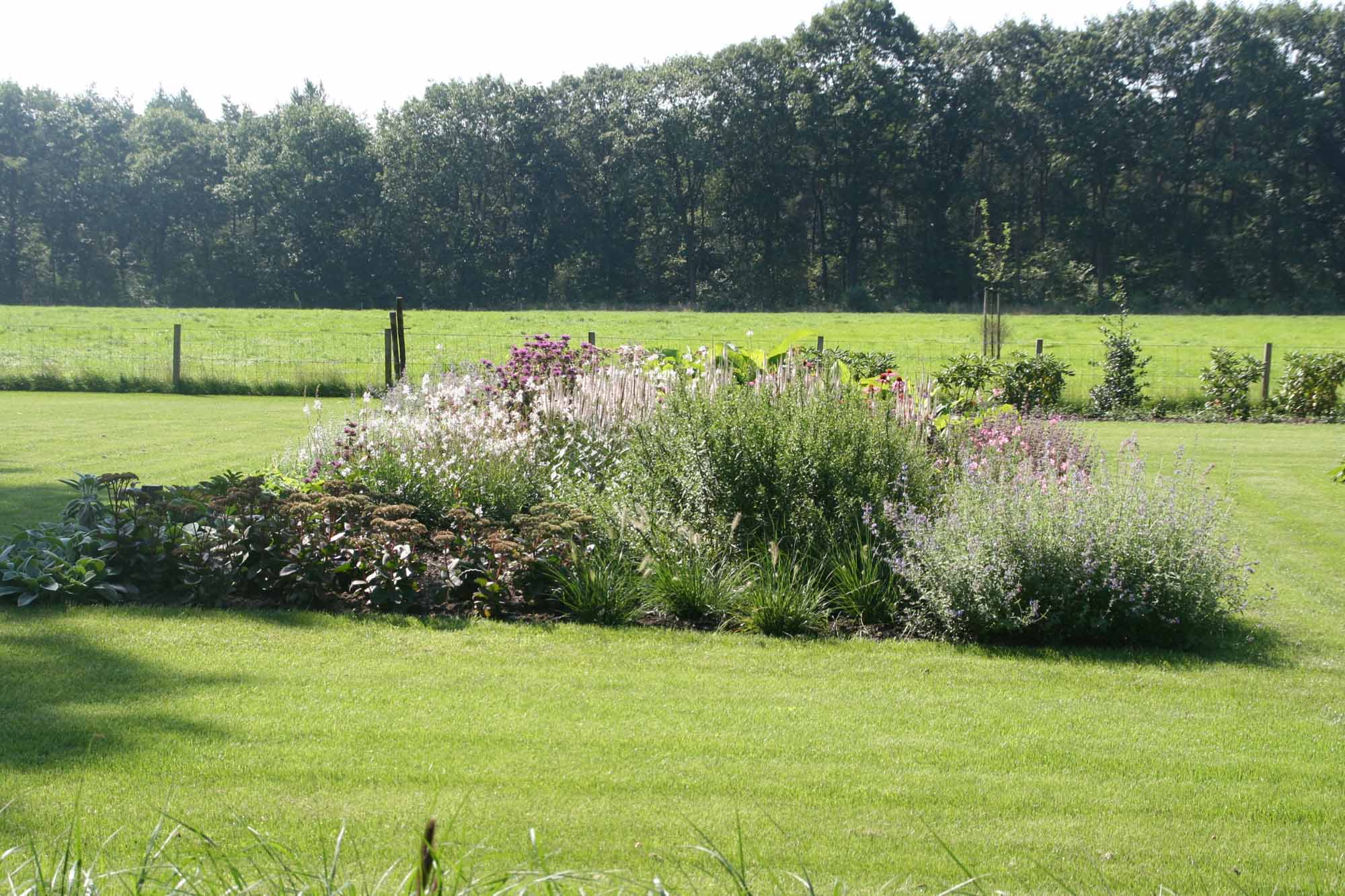Hoveniersbedrijf G.Weultjes Landschappelijke tuin Emst met gazon (2).JPG